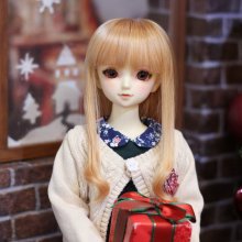 ドルフィーたちとクリスマス撮影を楽しみませんか！