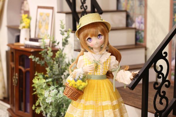 ドルフィー初めてシリーズ④】SD・DDのサイズについて | 天使のすみか