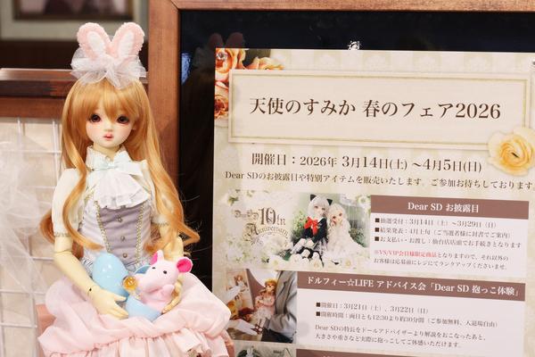 DD ひまり」＆「DDS ちかげ」店頭展示開始しました！ | 天使のすみか