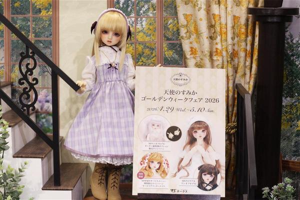 DDスタンダードモデル】DD キャンディ・DD 未来のご紹介です