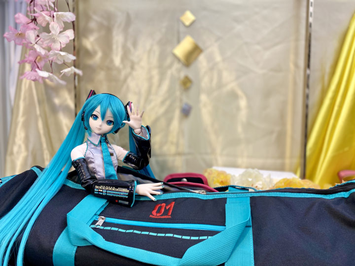 DD初音ミクキャリングケース改