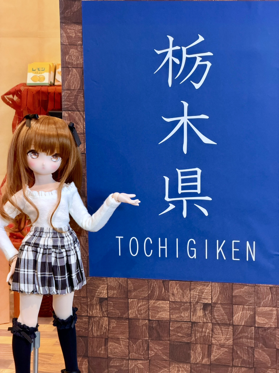 11月16日（日）はSD・DD合同撮影会開催です♪ | 天使のすみか・宇都宮