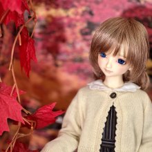 11月26日（日）開催！SD、DD合同撮影会のお知らせです！