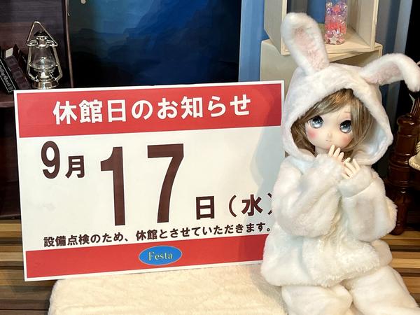 GL/VS/VIP会員限定商品「ドルフィー用 アンティーク風レース日傘
