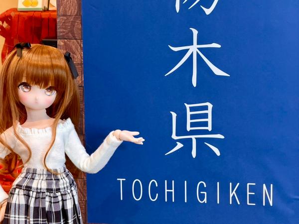 DDSキズナアイのご紹介♪ | ドールポイント大阪 店舗ブログ | ボークス