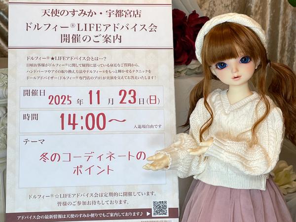 DDスタンダードモデルのご紹介☆ | 天使のすみか・広島店 店舗ブログ