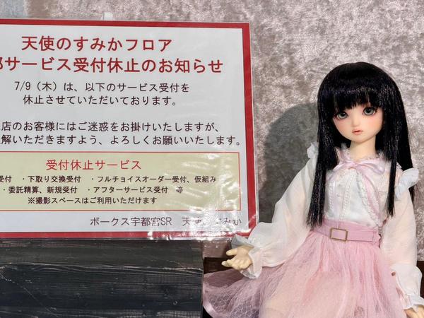 DDスタンダードモデル】DD キャンディ・DD 未来のご紹介です