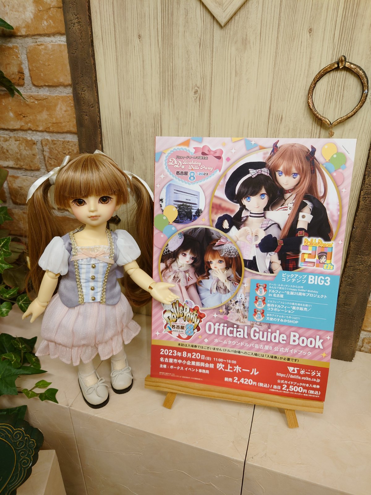 B100番代 ドルパ ホームタウンドルパ名古屋8 ガイドブック ワンオフ券なし