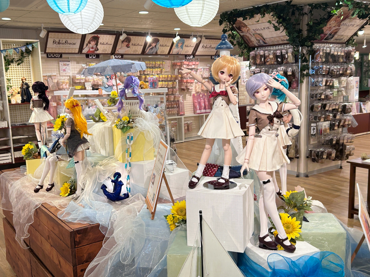 D'COORDの展示が夏仕様になりました！