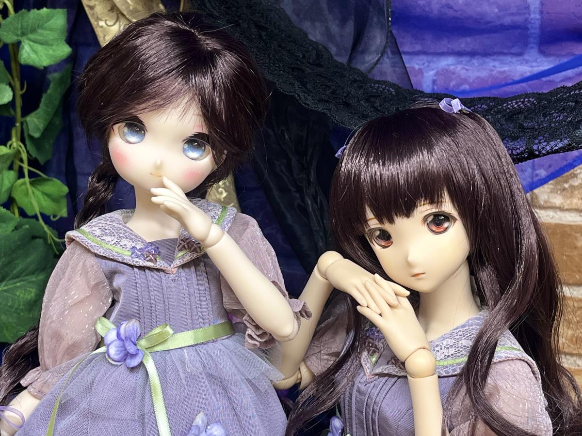 DDスタンダード　『トワ』『こうめ』のご紹介です♪