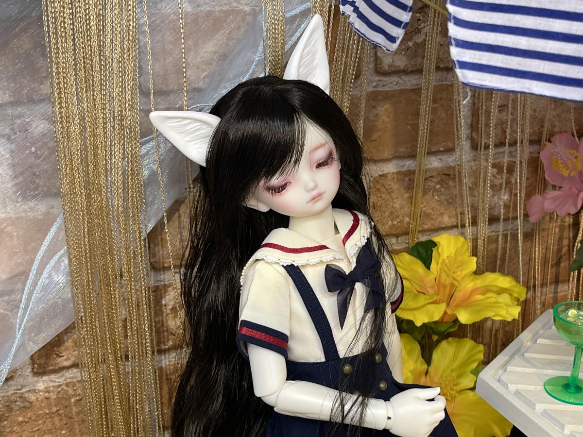 撮影スペースで夏を楽しもう♪横浜店に遊びに来てくださったドルフィーのご紹介です！