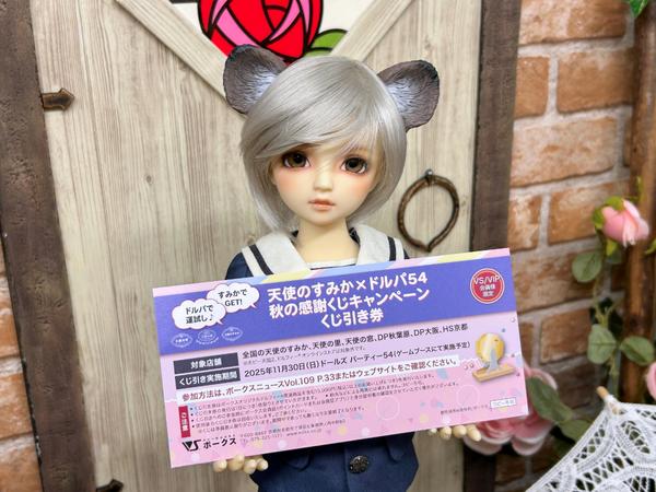 ホームタウンドルパ大阪10 公式ガイドブック付き入場券」GL/VS