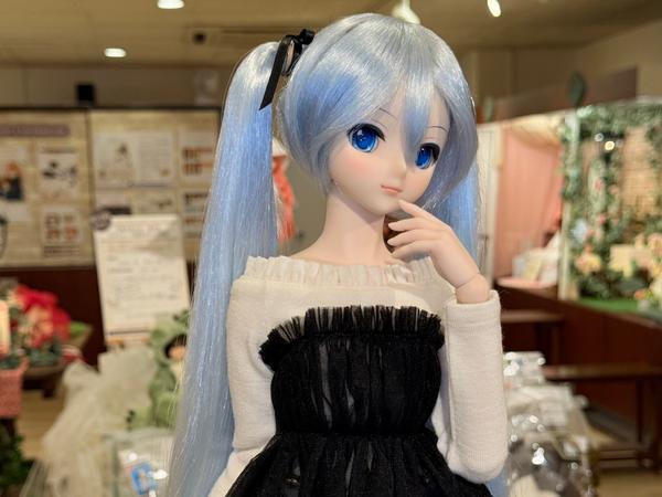 レア　新品 月姫 真祖の姫ドレスセット DDドルフィードリーム 真祖の姫」セット | 月姫 -A piece of blue glass moon