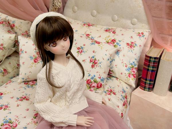 レア　新品 月姫 真祖の姫ドレスセット DDドルフィードリーム 真祖の姫」セット | 月姫 -A piece of blue glass moon- × Dollfie