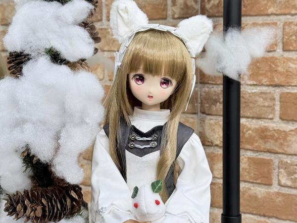 DD書籍「Let's ドルフィードリーム」ご予約開始いたしました！ | 天使