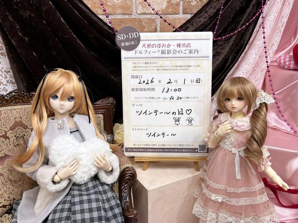 初めてのお迎えにオススメ！ドルフィースタンダードモデルのご紹介