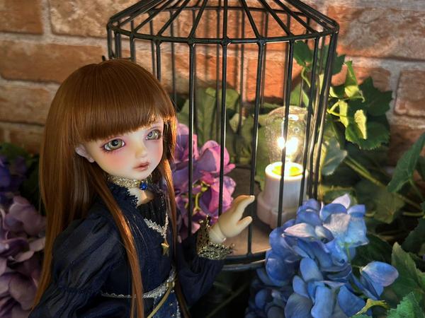 DDスタンダードモデル DDキャンディ・DD未来のご紹介♪ | 天使のすみか