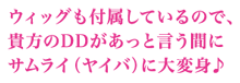 ウィッグも付属しているので、貴方のDDがあっとう言う間にサムライに大変身♪