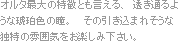 オルタ最大の特徴とも言える、透き通るような琥珀色の瞳。
その引き込まれそうな独特の雰囲気をお楽しみ下さい。
