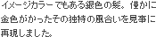 イメージカラーでもある銀色の髪。 僅かに金色がかったその独特の風合いを見事に再現しました。