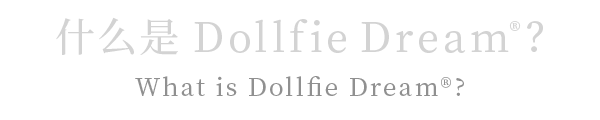 What is Dollfie Dream®?